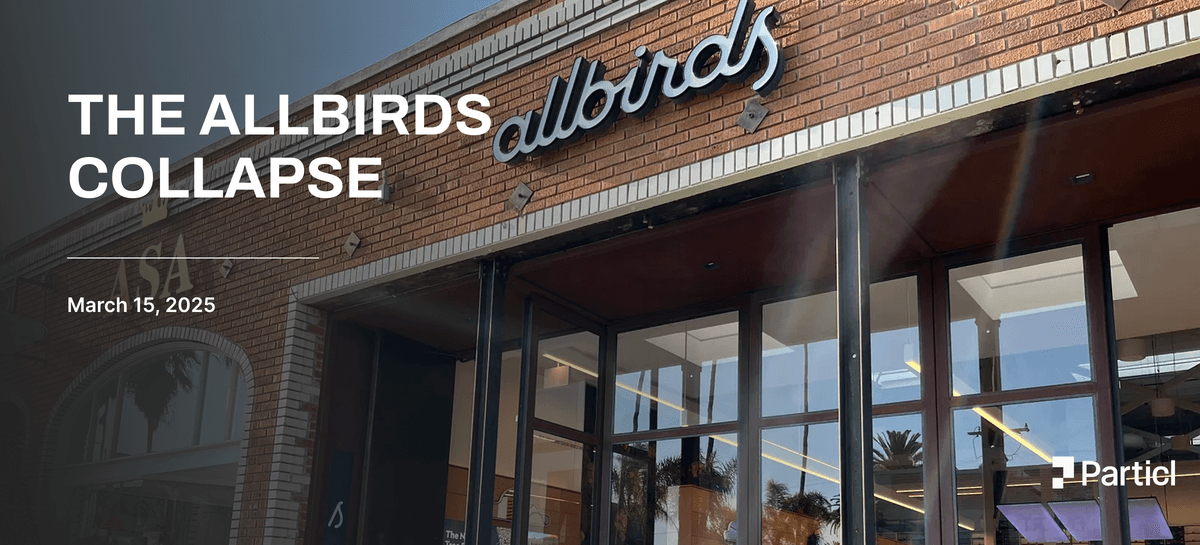 The Allbirds Collapse: When DTC Darlings Go Digital Only