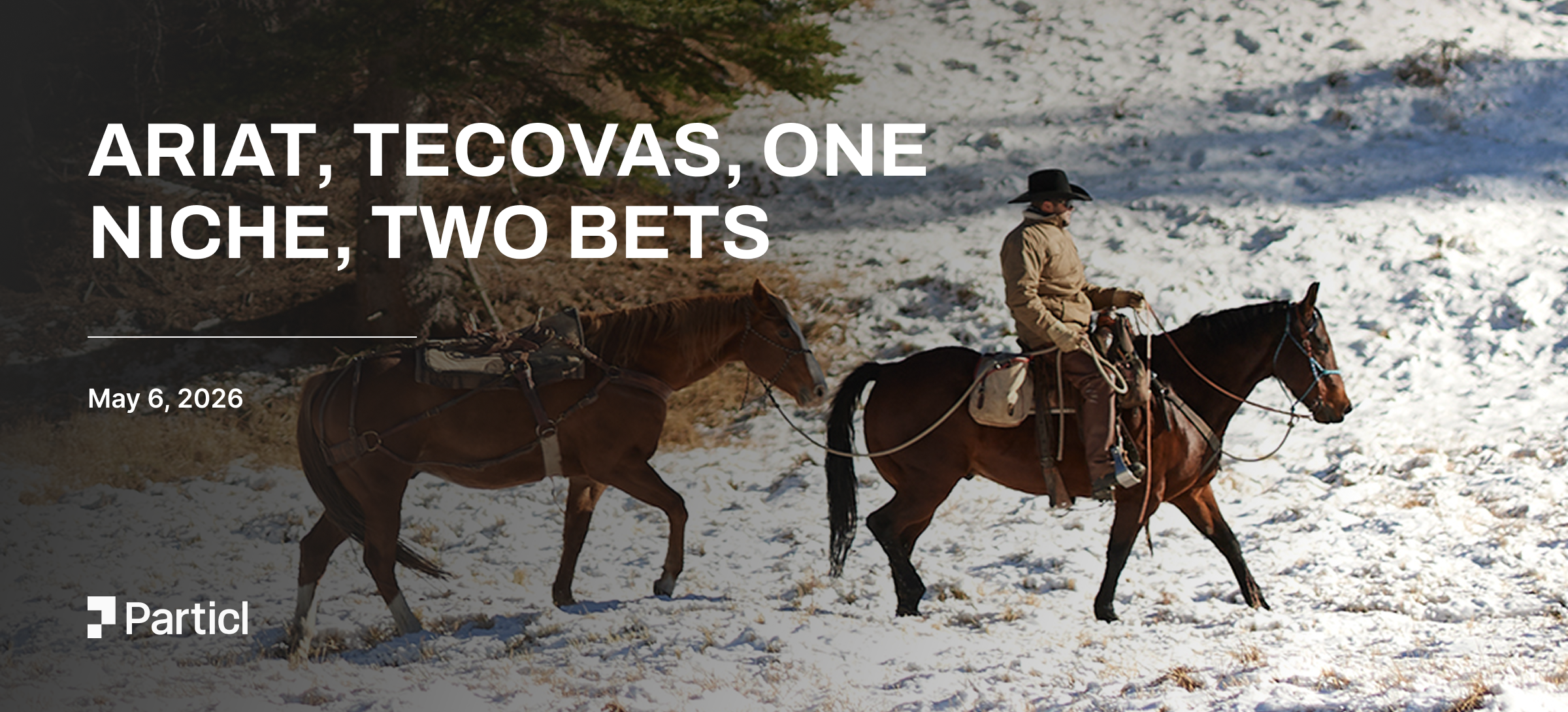 Cover: Western's Two Engines: How Ariat and Tecovas Turn Niche Into Scale